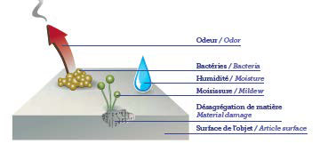 Procédé Sanitized
