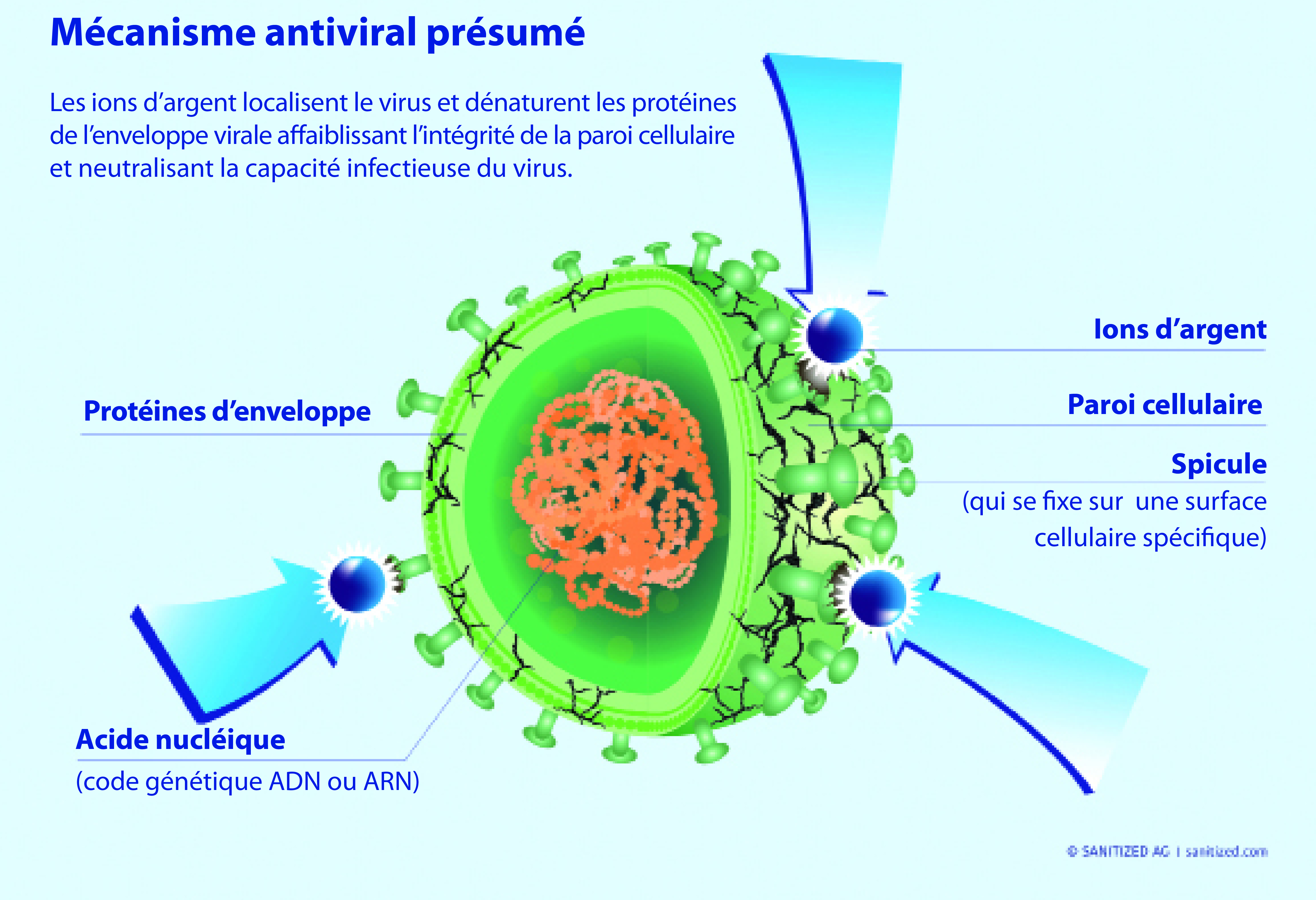 antiviral schema